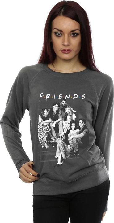 Actual product image Friends Womens/Ladies Group Stairs Sweatshirt (XL)