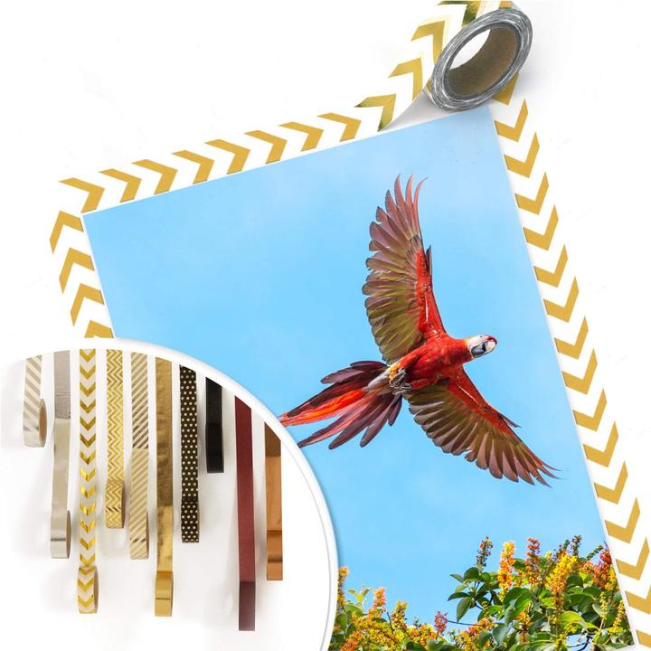 Produktbild Trenddeko Colombo – Papagei im Flug (80 x 100 cm)