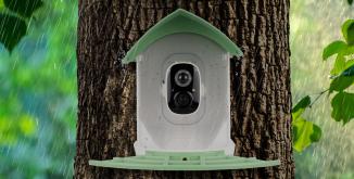 Actual product image Redleaf RD001 Observation camera with bird house