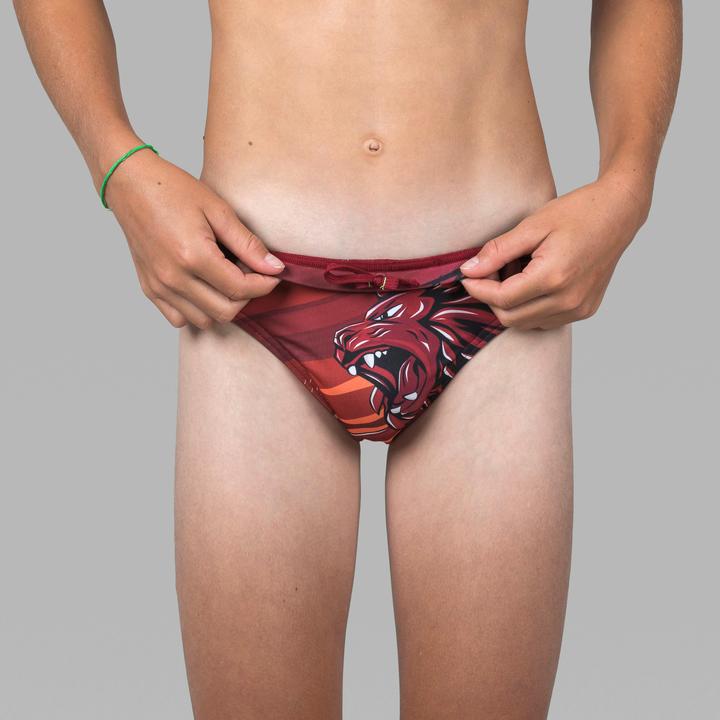 Actual product image Watko Lion (12, 13)