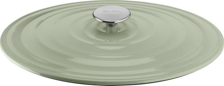 Actual product image Tefal LOV roaster (34 cm, Casserole + Stewpot, Pot, Cast iron)