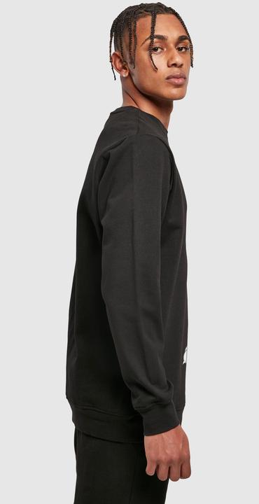 Produktbild Looney Tunes Sylvester Crossed Arms Sweatshirt (S)