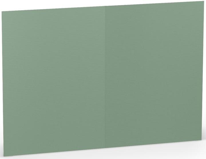 Immagine prodotto Rössler Biglietto da lettera Paperado Eucalyptus (5 pz.)