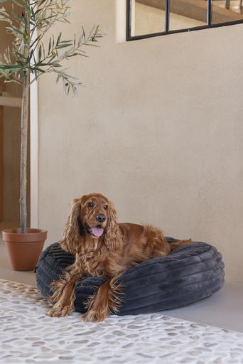 Actual product image Designed by Lotte Reza reclining cushion (Dog)