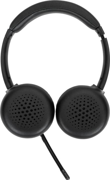 Actual product image Targus Wireless Stereo Headset (Wireless, Cable, USB-C)