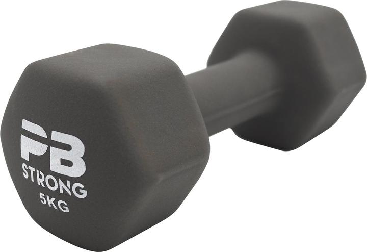 1 x 5 kg