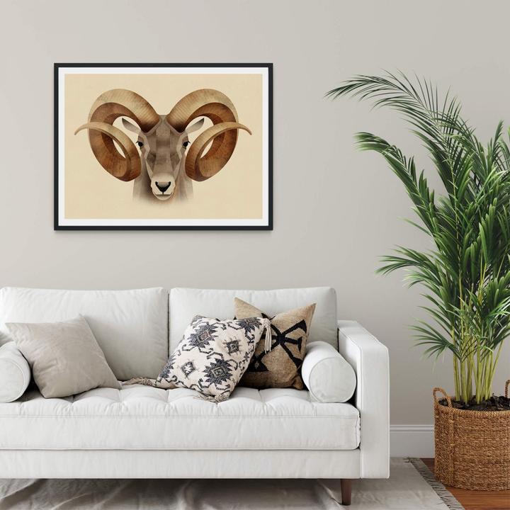 Image du produit Trenddeko Urial (50 x 40 cm)