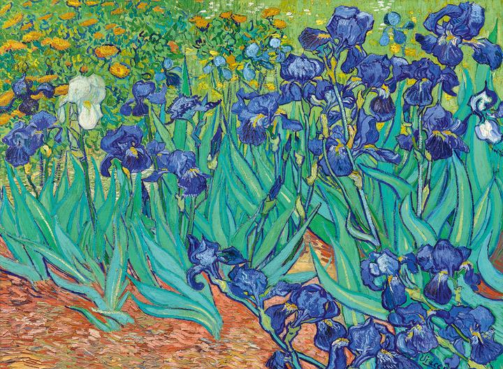 Produktbild Bluebird Puzzle 3000 Irysy, Vincent van Gogh, 1889 (3000 Teile)