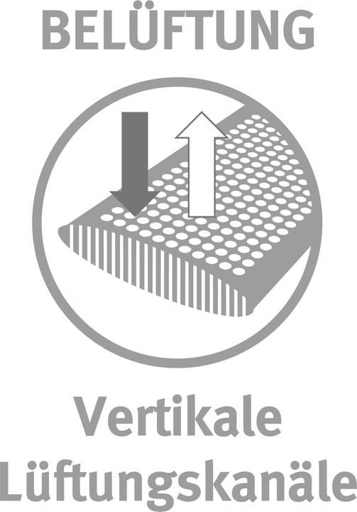 Produktbild Paradies FlexoGel® Dream Kissen (40 cm x 80 cm) (40 x 80 cm)