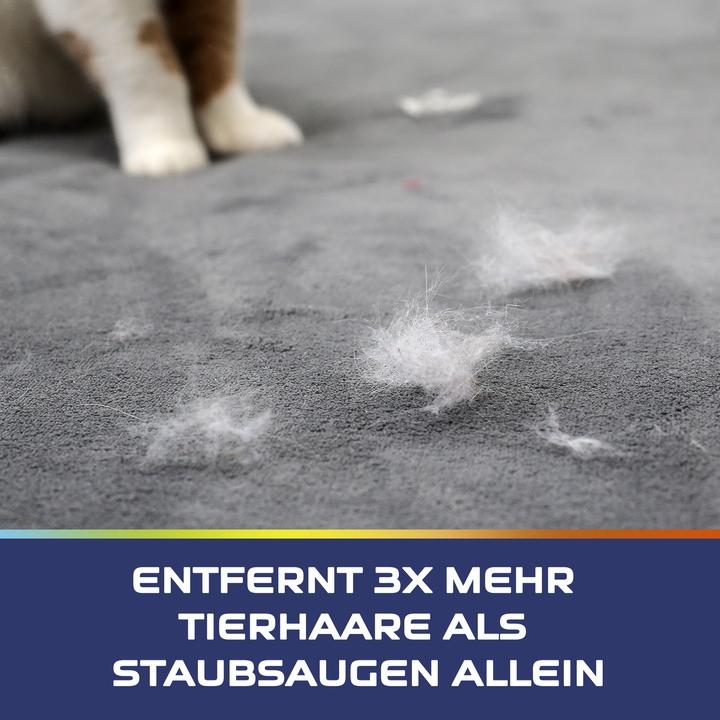 Immagine prodotto Vanish Pet Expert Carpet Care Foam