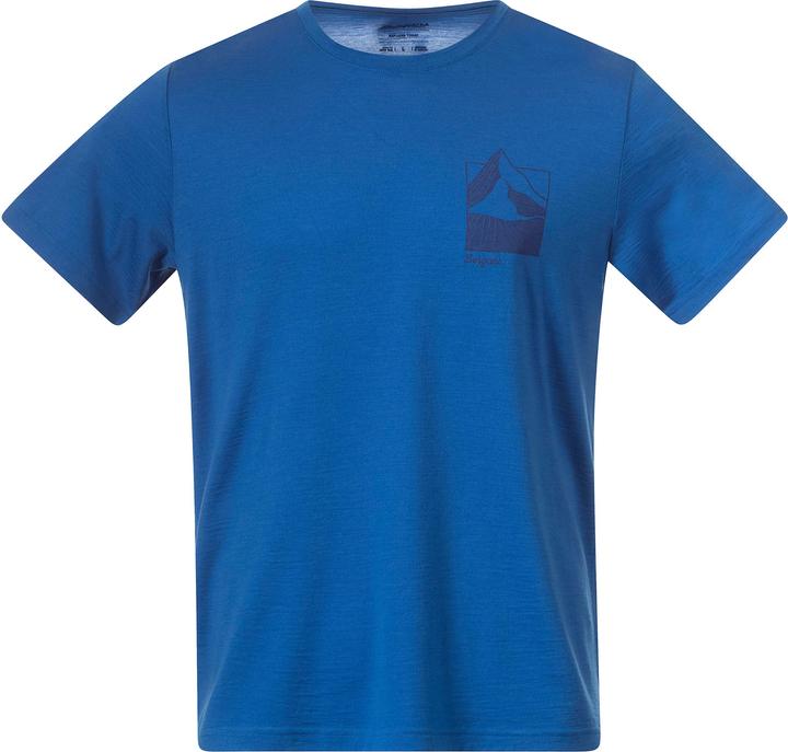 Bergans Rabot Mount Wool Tee (L)