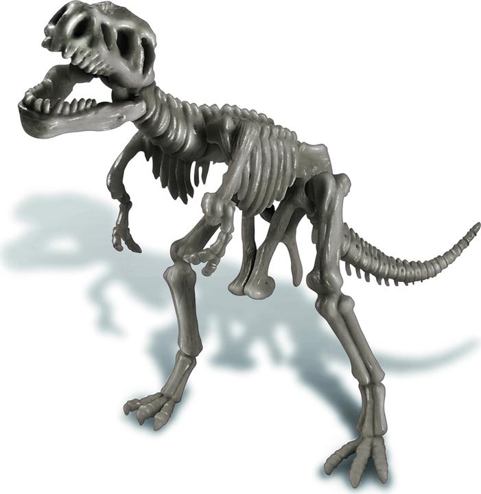 Produktbild 4M Dinosaurier Ausgrabung Tyrannosaurus Rex