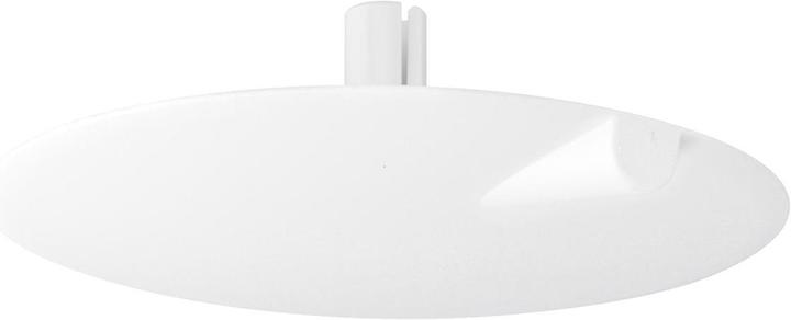 Actual product image Agro Ceiling rose