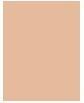 Immagine prodotto Sensai Ricarica Cellular Performance Total Finish (TF12 Beige tenue)