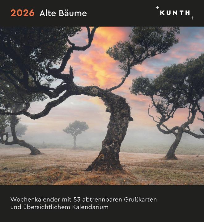 Actual product image Alte Bäume - Postkartenkalender 2026 (Hardcover, German)