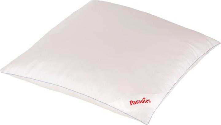 Paradies Softy Cool Bio Kissen (80x80 cm) (80 x 80 cm)