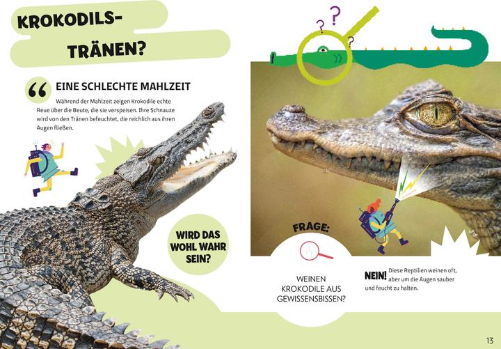 Produktbild National Geographic Die Mythenjäger. Keine Chance für Fake News und Lügenmärchen. Checke dein Wissen in unglaublichen (Deutsch, Silvia Mauri, Massimo Miato, Altea Villa, 2024)