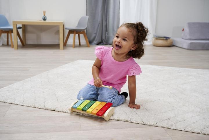 Actual product image Xylophone (English, German)