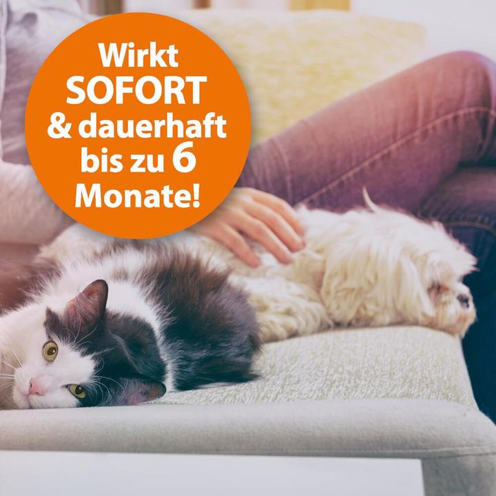 Produktbild Ardap Ungezieferspray Vernebler Fogger 200ml (200 ml)