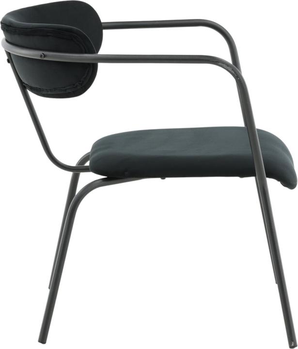 Actual product image Venture Home Armchair Fluffy