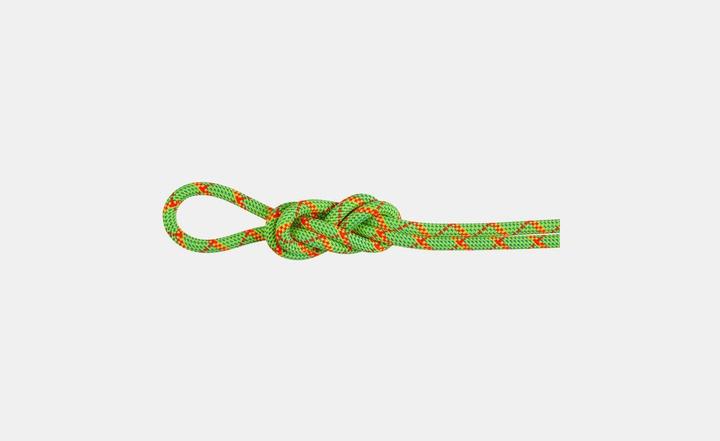Produktbild Mammut 8.0 Alpine Core Protect Dry Rope (70 m)