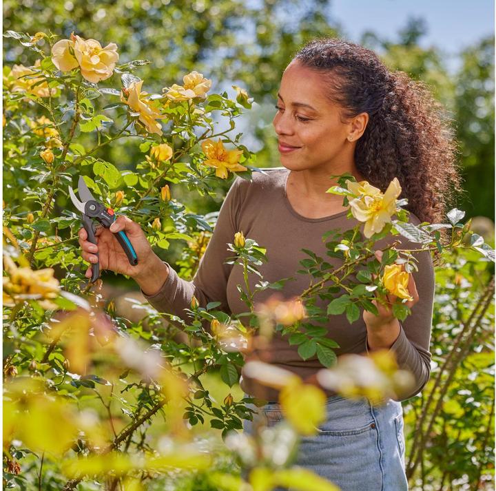 Image du produit Gardena Gartenschere PremiumCut Flex