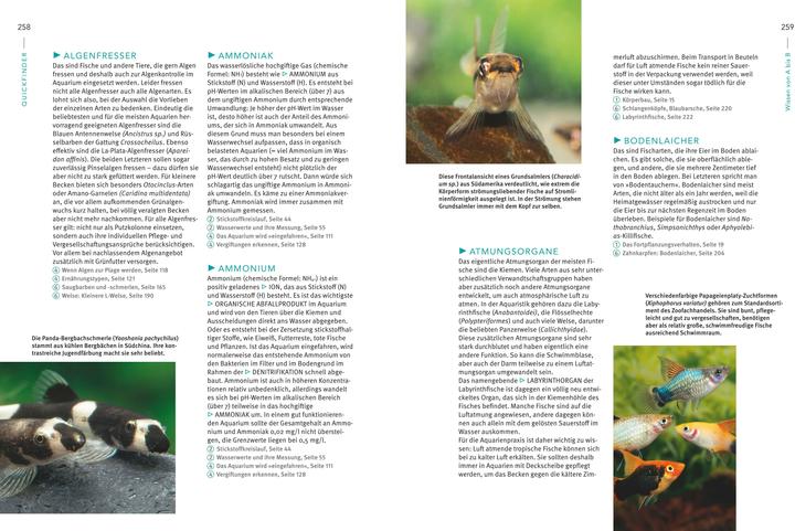Produktbild Das grosse Praxishandbuch Aquarium (Deutsch, Ulrich Schliewen, 2017)