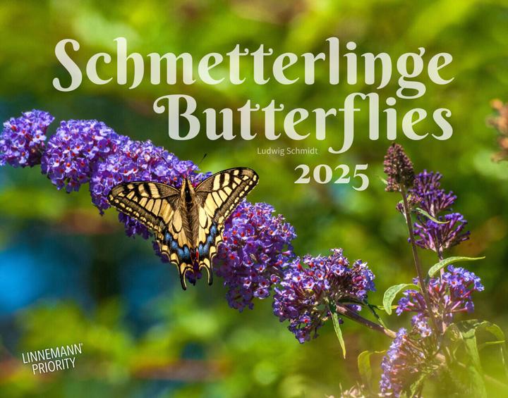 Produktbild Schmetterlinge 2025 Grossformat-Kalender (Harter Einband, Deutsch)