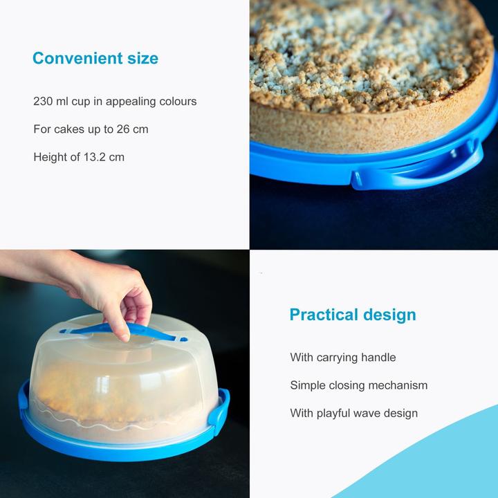 Actual product image Intirilife Cake transport container