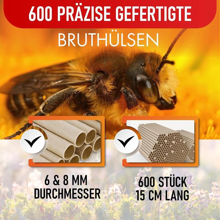 Produktbild Beesi Nisthülsen (Wildbienen)