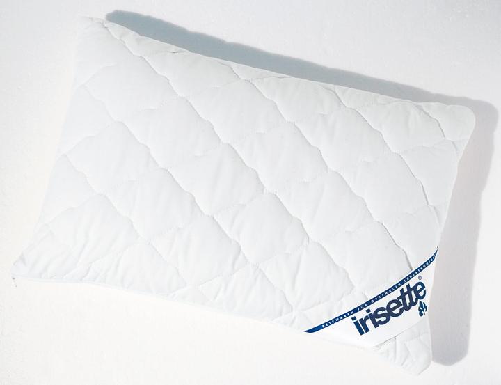Produktbild Irisette Hirsekissen (40 x 60 cm)