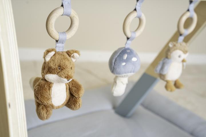 Image du produit Little Dutch Babygym Forest Friends