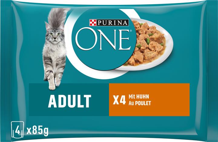 Purina ONE Adulte