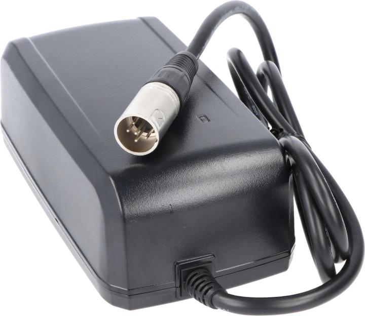 Actual product image Giant Quick charger 41.8V 5 pins, DPS-83CB A, GLI180A, NC-SSC05GNT (E-bike charger)