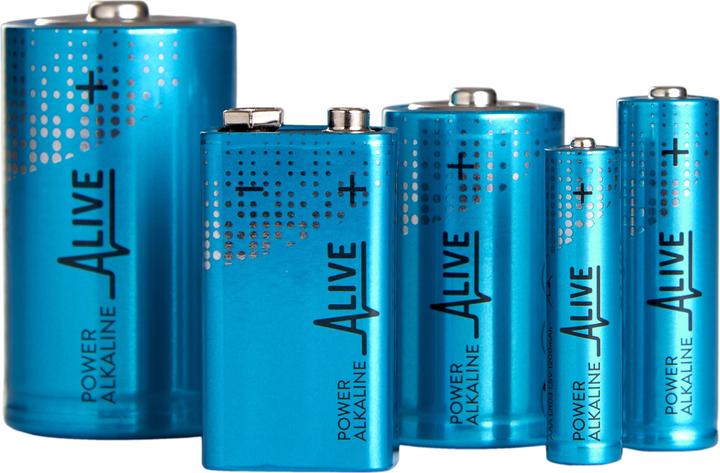 Actual product image Alkaline battery (2 pcs., 9V Block, 600 mAh)