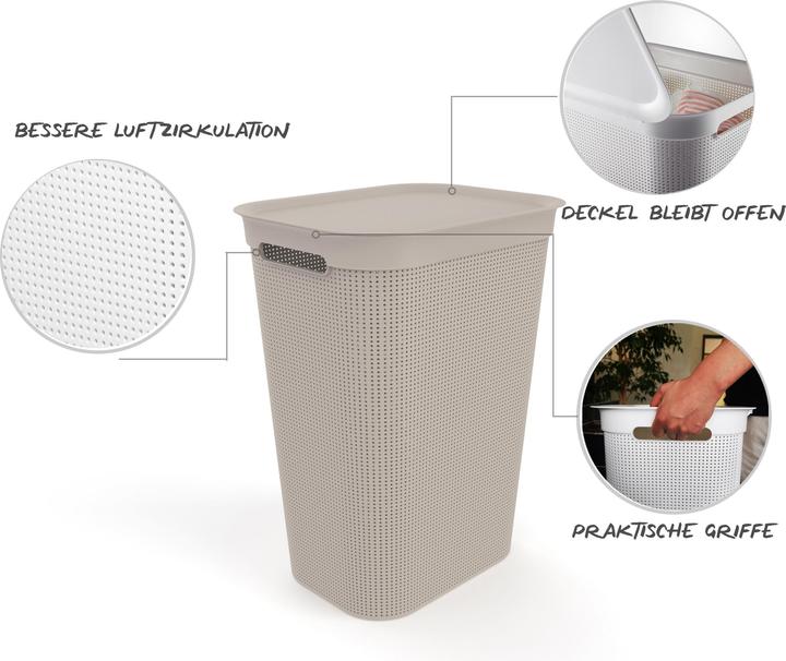 Image du produit Rotho Brises 1 (50 l)