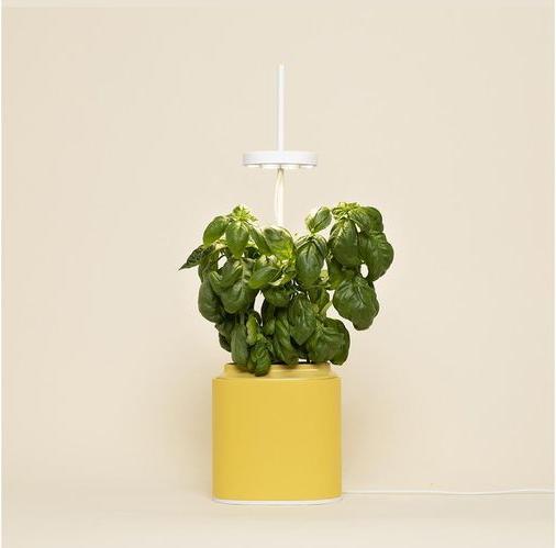 Produktbild Prêt à Pousser Kräutertopf Nano, Mimosa Yellow (13.50 cm)