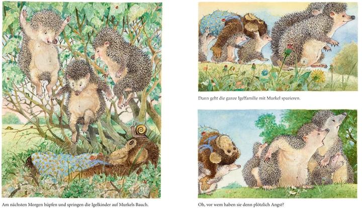 Actual product image Murkel ist wieder da (German, Ingrid Schubert, Dieter Schubert, 2021)