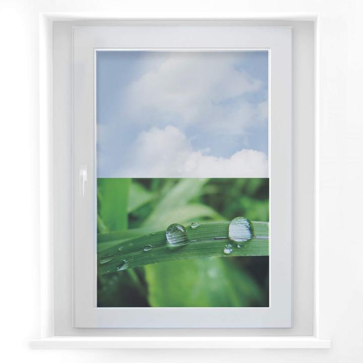 Produktbild Trenddeko Natur 4 (90 x 68 cm)