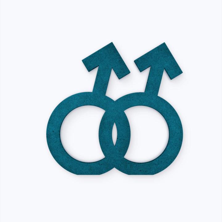 Produktbild Trenddeko Gender-Symbol Homo Männer (26 x 25 cm)