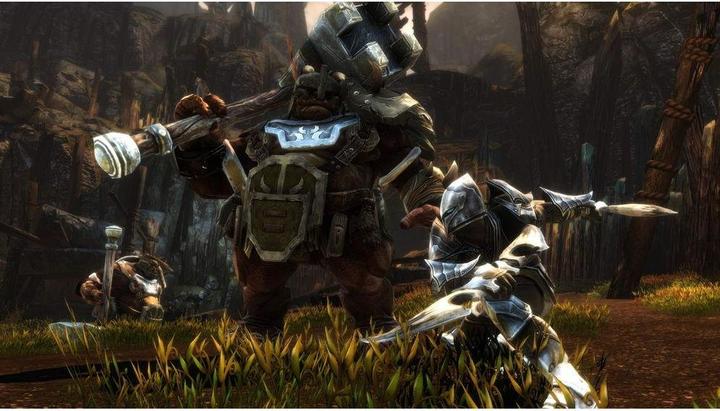 Image du produit THQ Kingdoms of Amalur - Reckoning Edition définitive (Xbox One X, Xbox Series X, IT, FR)