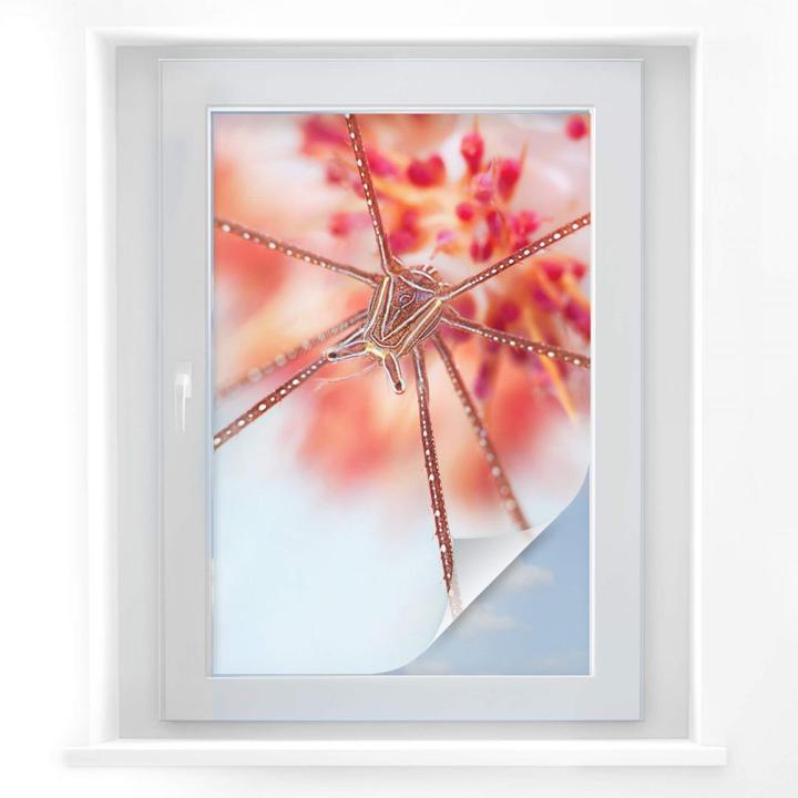 Produktbild Trenddeko Unterwasser-Exotik (50 x 75 cm)