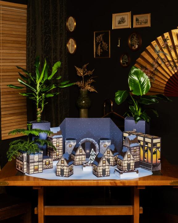 Produktbild feey Pflanzen Adventskalender (60 cm)