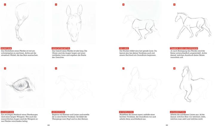 Produktbild Tiere zeichnen (2 Bücher im Bundle)