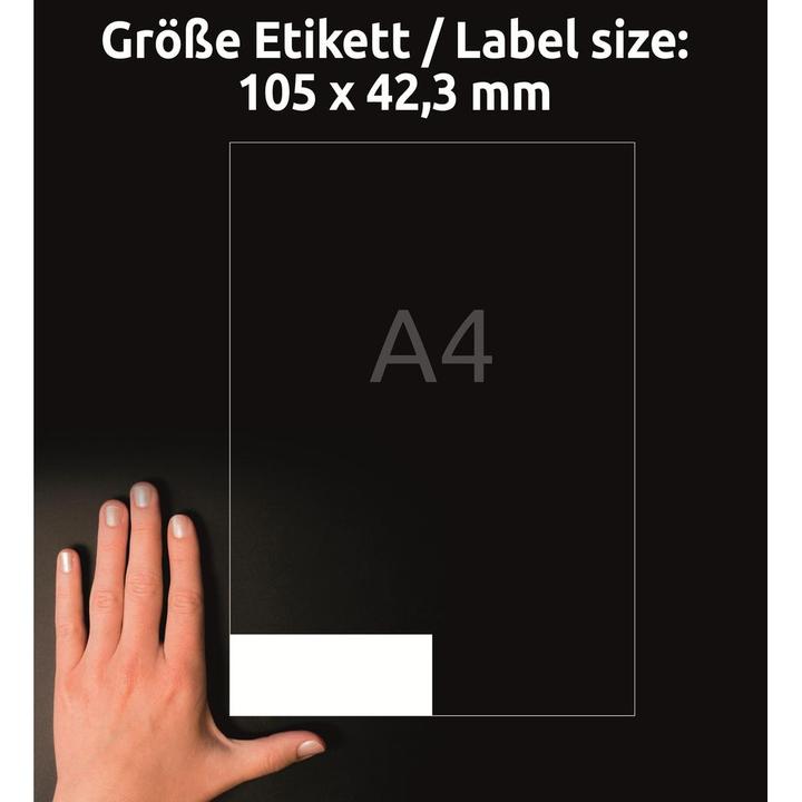 Actual product image Avery Universal labels