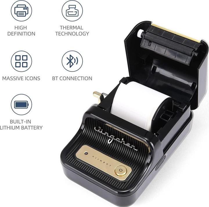 Actual product image Niimbot B21 (203 dpi)