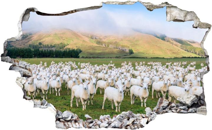 Actual product image Trenddeko 3D - flock of sheep in New Zealand (60 x 36 cm)