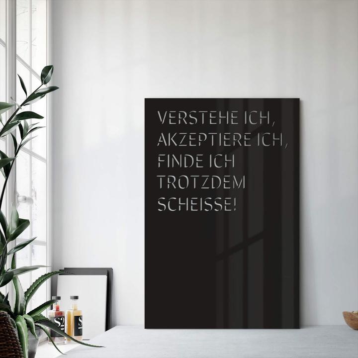 Immagine prodotto Trenddeko Lo capisco, lo accetto, ma fa comunque schifo. (20 x 30 cm, 30 x 45 cm, 40 x 60 cm)