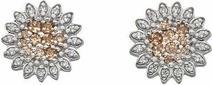 Hot Diamonds Silver Earrings Emozioni Spirzzare EE032