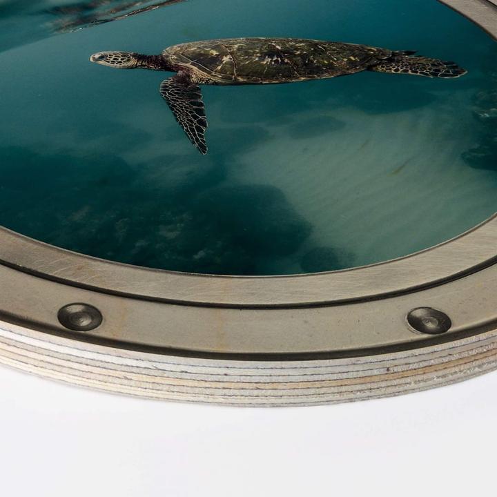 Image du produit Trenddeko Hublot d'optique 3D - tortue de côté (Ø 30 cm)